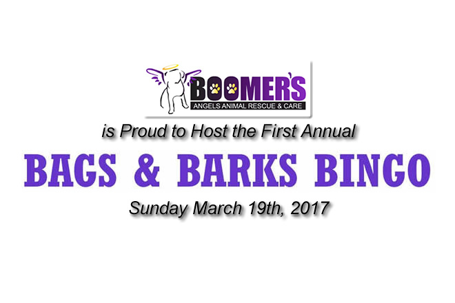 Boomer's Angel's Animal Rescue & Care Bags & Barks Bingo March 29th