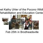 Meet Kathy Uhler of the Pocono Wildlife Rehabilitation and Education Center Feb 25th Brodheadsville