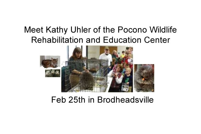 Meet Kathy Uhler of the Pocono Wildlife Rehabilitation and Education Center Feb 25th Brodheadsville