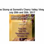 Grape Stomp at Sorrenti's Cherry Valley Vineyards July 29th and 30th, 2017